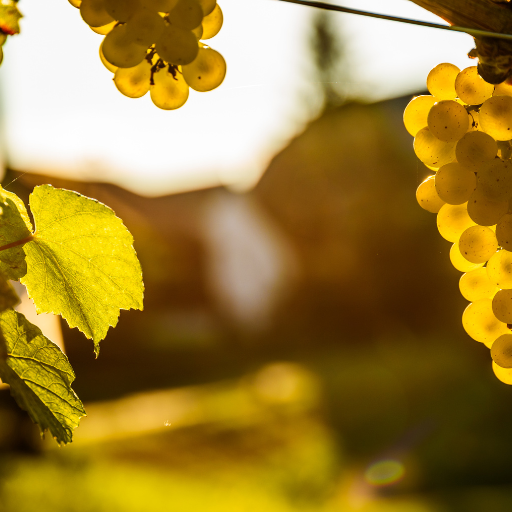 Top 10 Ausflugsziele Steiermark